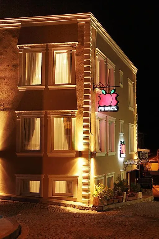 Apple Tree Hotel İstanbul 3*,