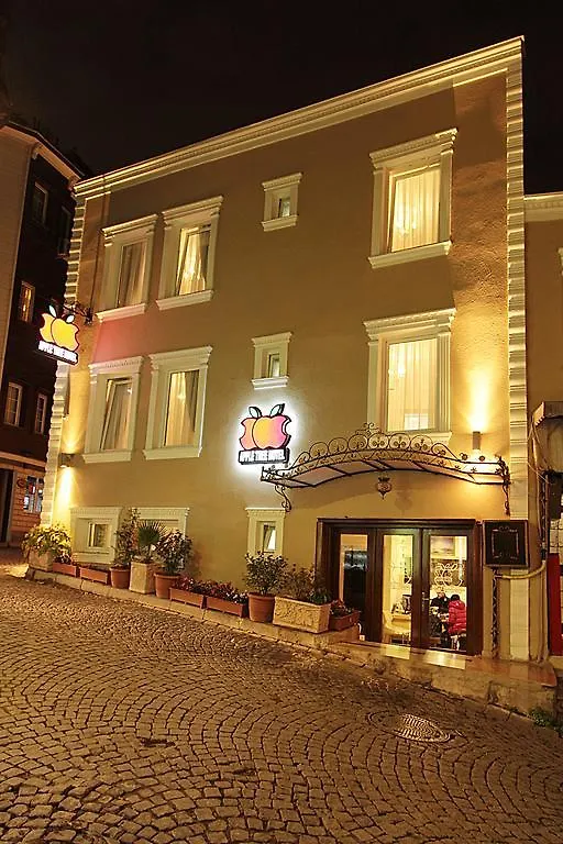 Apple Tree Hotel Istanbulská provincie
