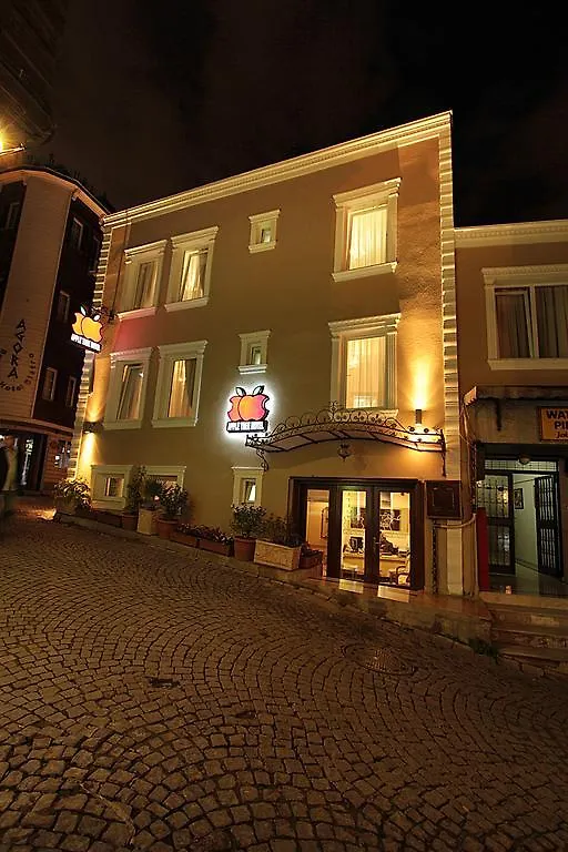 Apple Tree Hotel Istanbulská provincie 3*,  Turecko